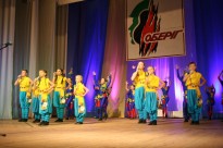 Всеукраїнський 15-й фестиваль военно-патріотичної творчості 