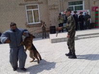 До Дня прикордонника 28 травня 2019року.