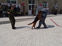 До Дня прикордонника 28 травня 2019року.
