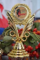 Фестиваль 