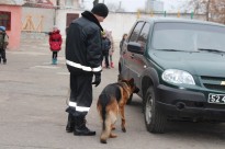 Річниця загону юних прикордонників  «СОКІЛ» м.Херсон
